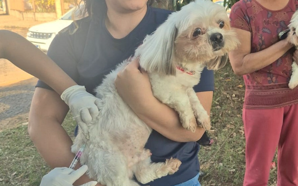 CAMPANHA DE VACINAÇÃO CONTRA A RAIVA ACONTECE NESTA QUARTA-FEIRA (25) NO BANNWART EM AVARÉ